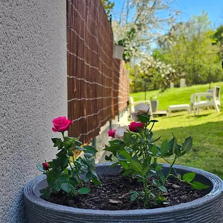 Lumineux Et Calme En Rez-de-jardin Apartmán