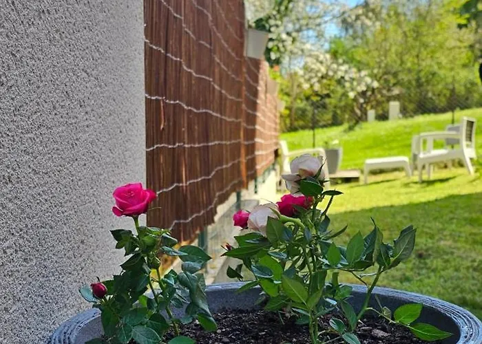 Lumineux Et Calme En Rez-de-jardin Apartmán