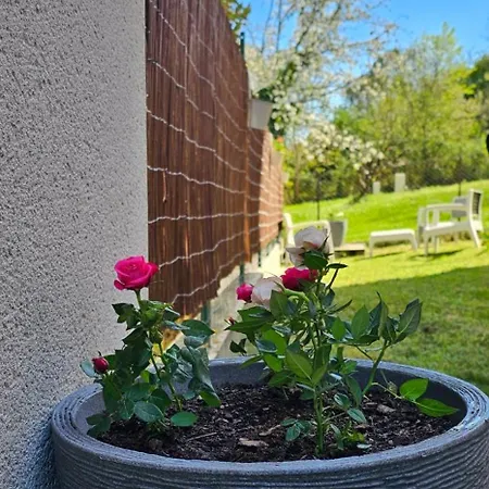 Lumineux Et Calme En Rez-de-jardin * Castanet-Tolosan