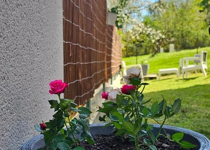 Lumineux Et Calme En Rez-de-jardin * Castanet-Tolosan